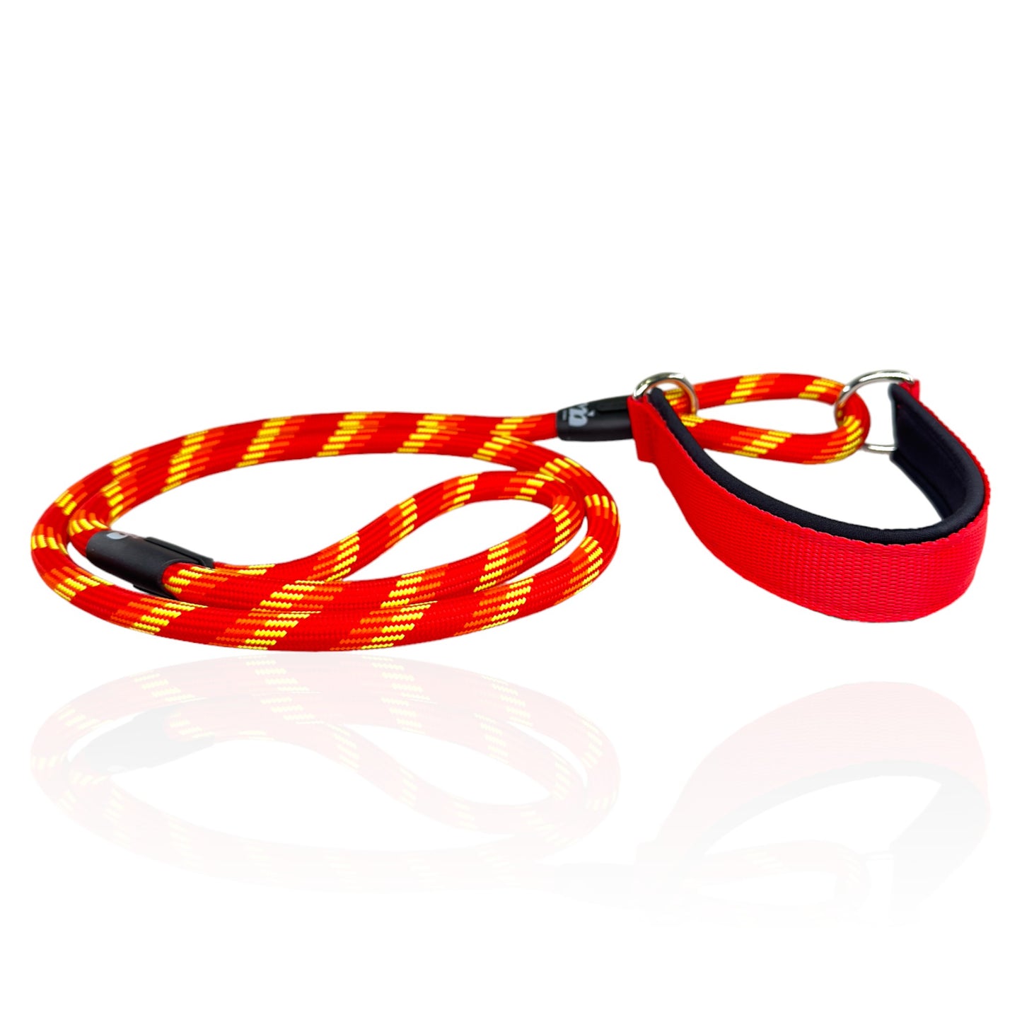 Fire Collare-Guinzaglio