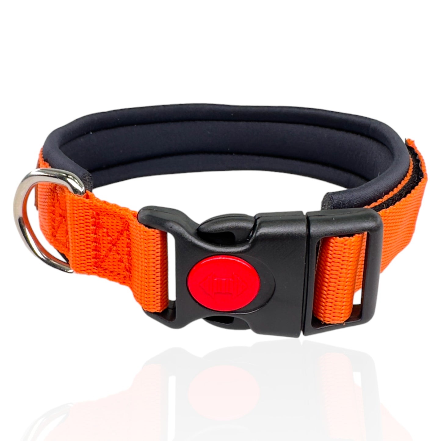 Collare Cane Arancio