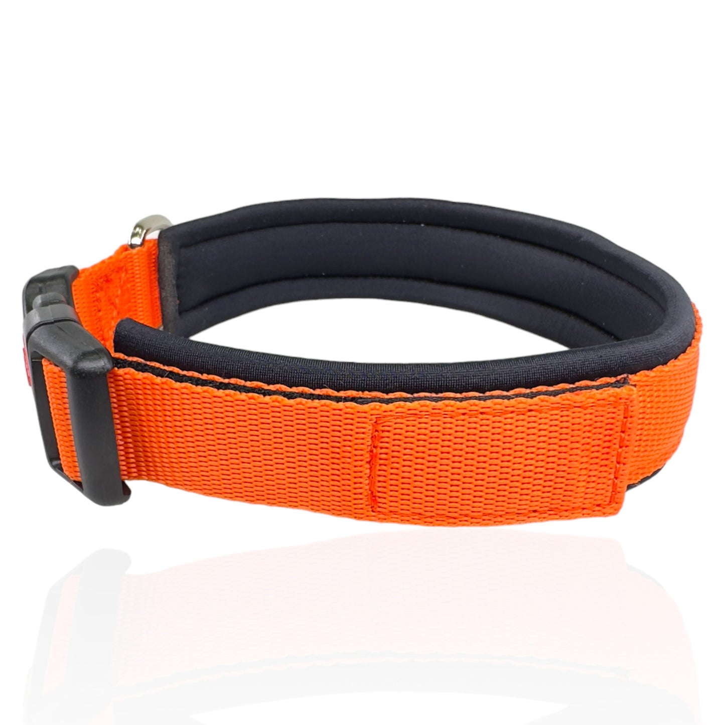 Collare Cane Arancio