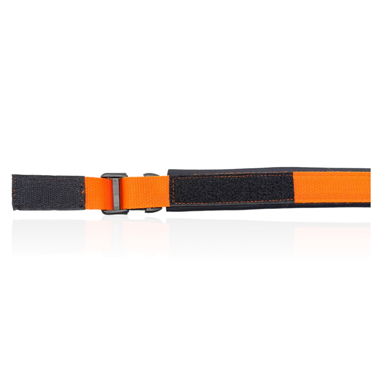 Collare Cane Arancio