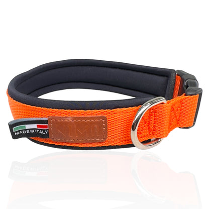 Collare Cane Arancio