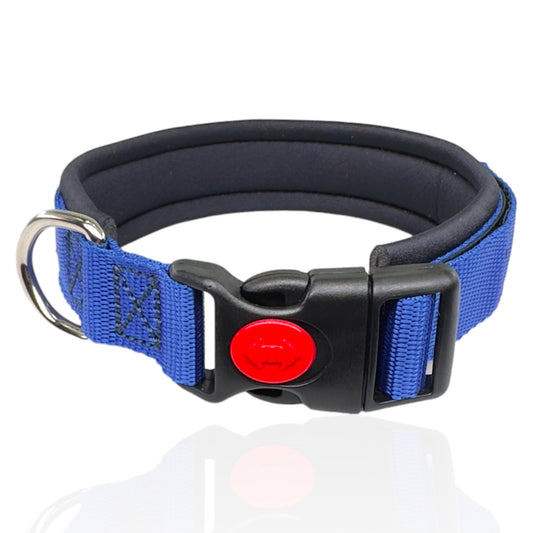 Collare Cane Blue