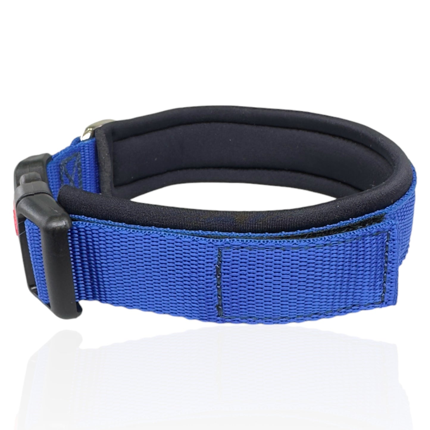 Collare Cane Blue