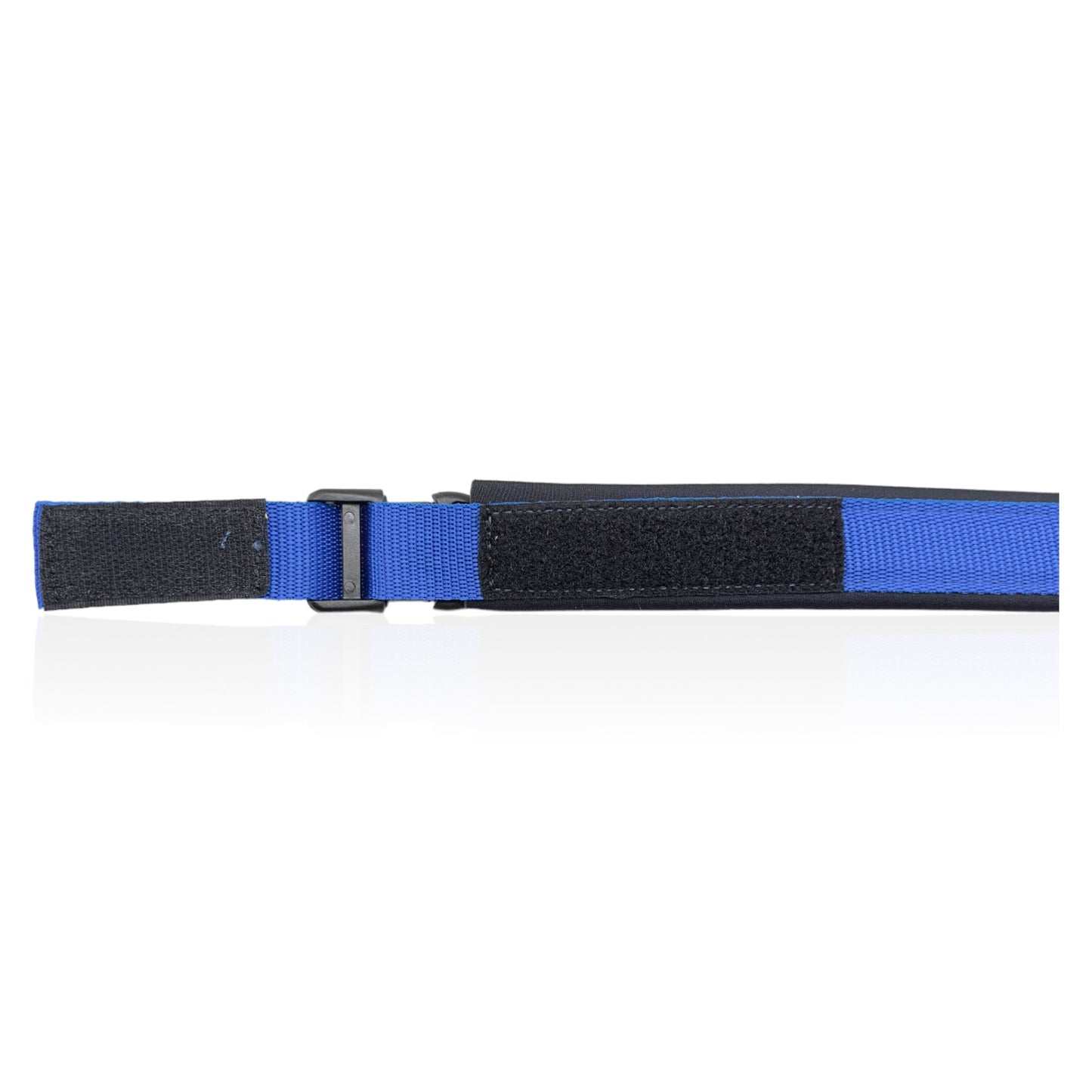Collare Cane Blue