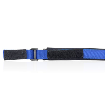 Collare Cane Blue