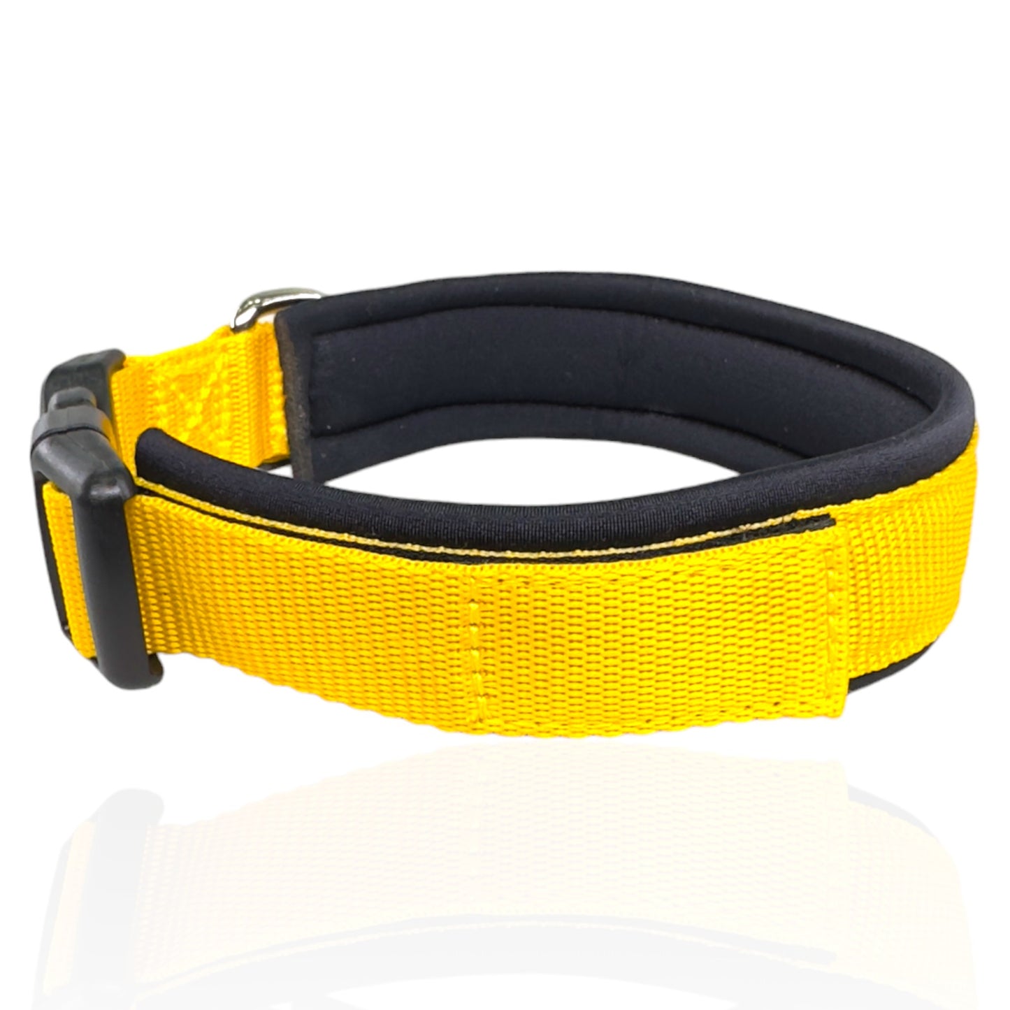 Collare Cane Giallo