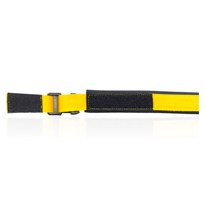 Collare Cane Giallo