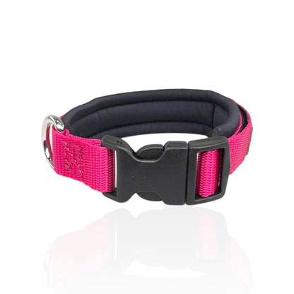 Collare Cane Small Fucsia