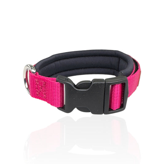 Collare Cane Small Fucsia