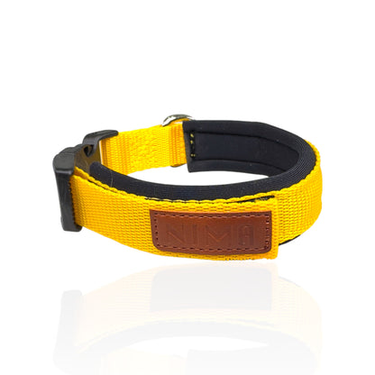 Collare Cane Small Giallo
