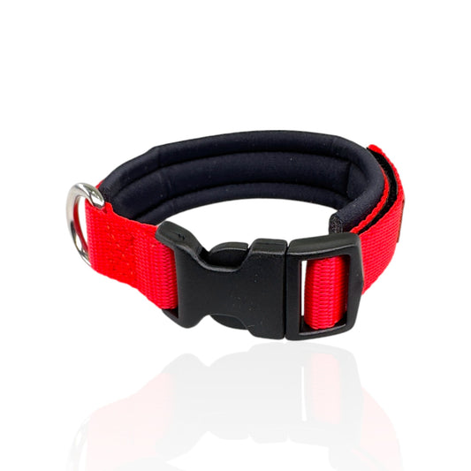 Collare Cane Small Rosso