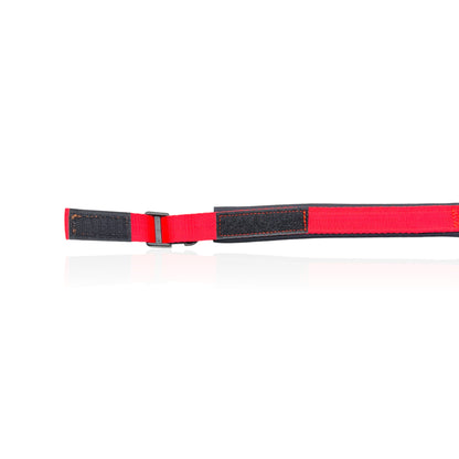 Collare Cane Small Rosso