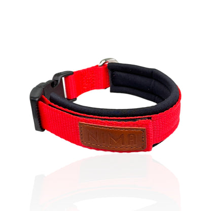 Collare Cane Small Rosso