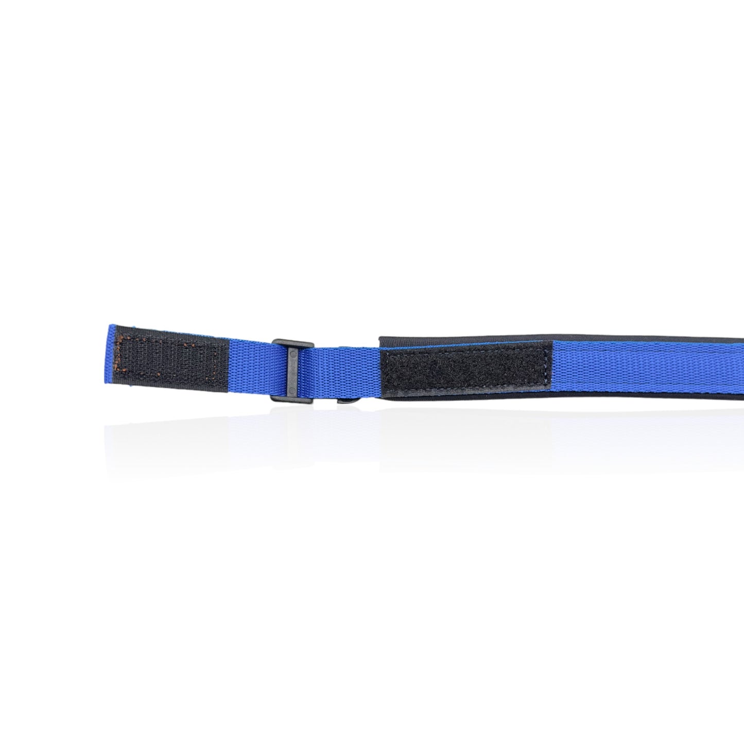 Collare Cane Small Blue