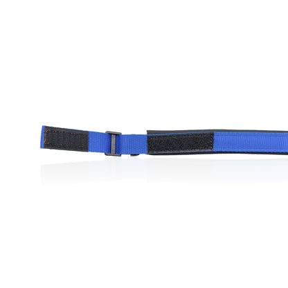 Collare Cane Small Blue