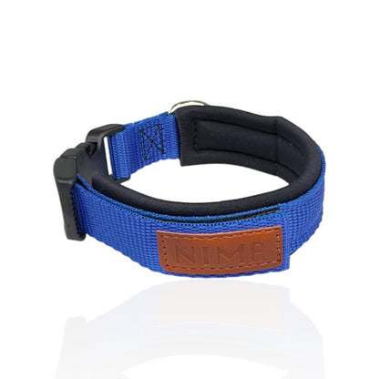 Collare Cane Small Blue