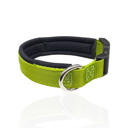 Collare Cane Small Verde Mela