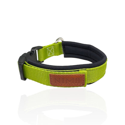 Collare Cane Small Verde Mela