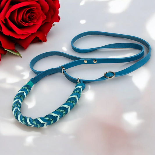 Guinzaglio Retriever in Cuoio Nabuk Smeraldo – Robusto, Elegante e Confortevole per Cani di Tutte le Taglie