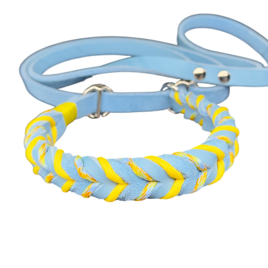 Guinzaglio Retriever in Cuoio Nabuk Azzurro – Robusto, Elegante e Confortevole per Cani di Tutte le Taglie