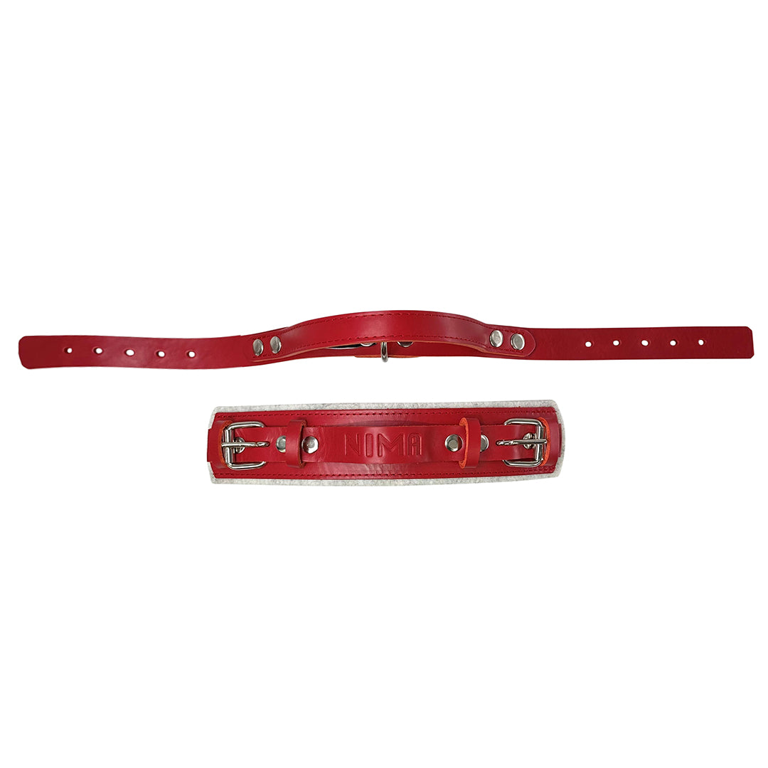 Collare Cuoio Premium Con Manico Rosso