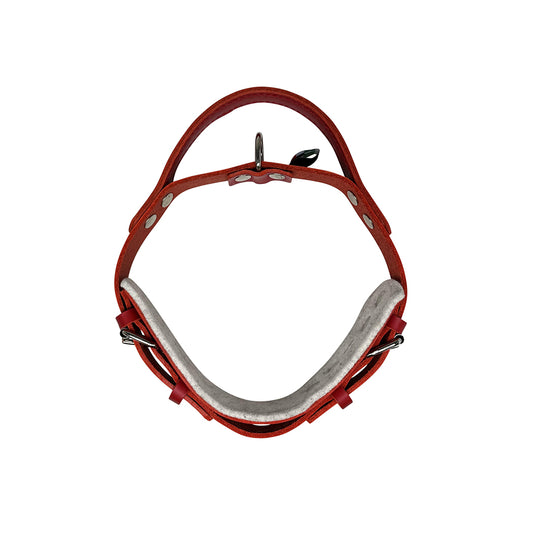 Collare Cuoio Premium Con Manico Rosso
