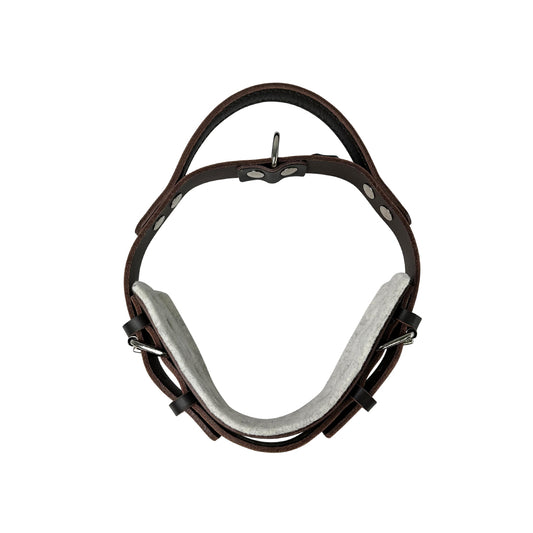 Collare Cuoio Premium Con Manico Marrone