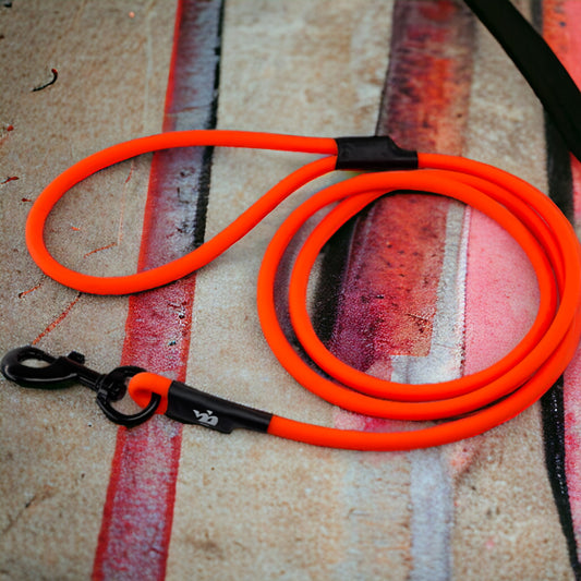 Moony - Guinzaglio BIOTHANE Arancio