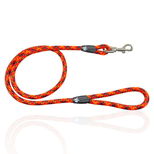 Shu Guinzaglio corda Cane