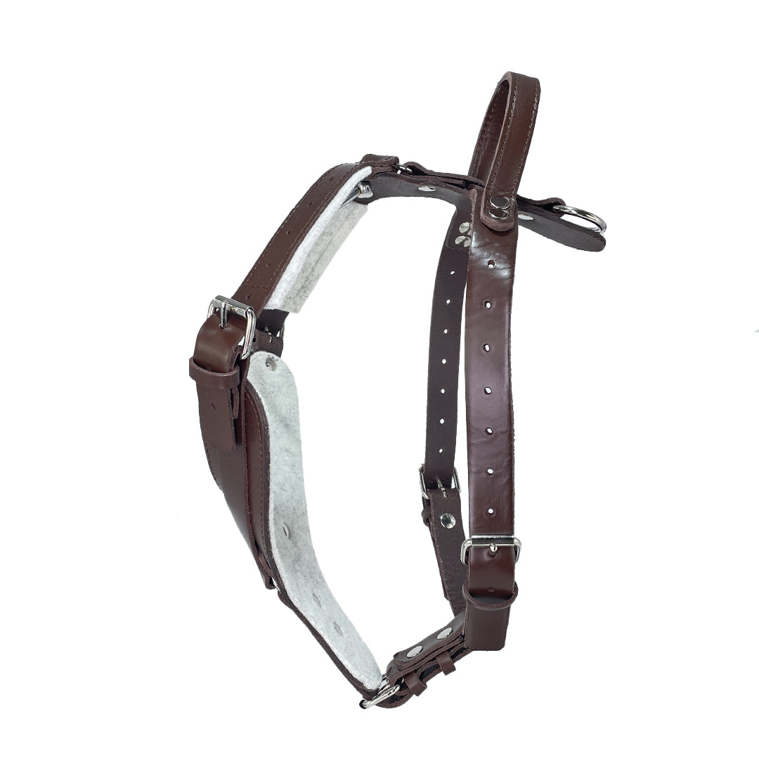 nima, collare cane, guinzaglio cane, pettorina cane, collari cane, pettorina h, pettorina pelle, pet, pets, cani