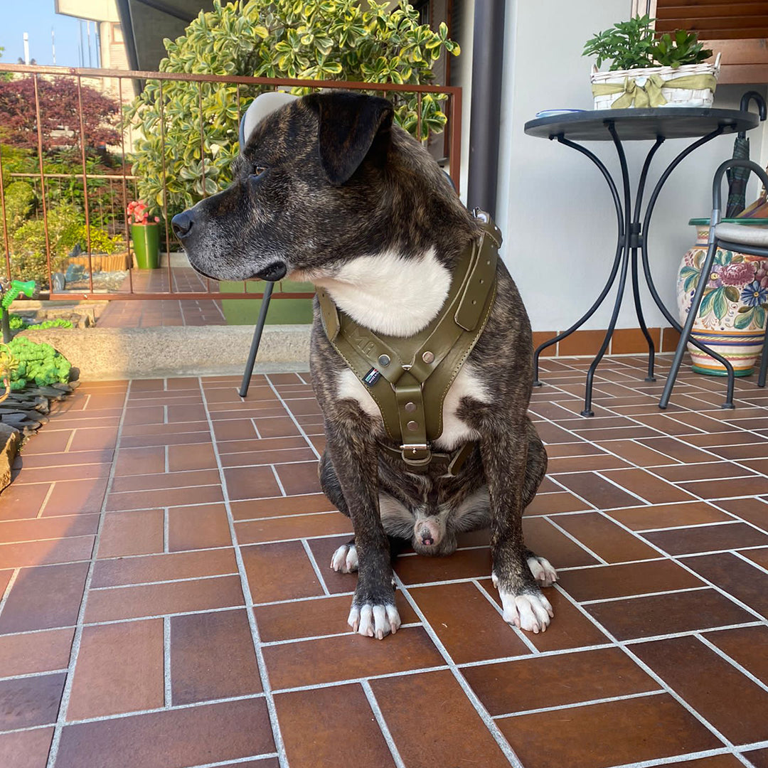 PREMIUM LEATHER BIB